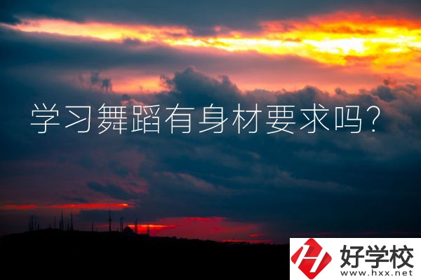 懷化有可以學習舞蹈的中專學校嗎？有身材要求嗎？
