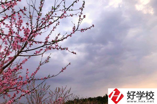 邵陽(yáng)市瀟湘中等職業(yè)技術(shù)學(xué)校怎么樣？收費(fèi)標(biāo)準(zhǔn)如何？