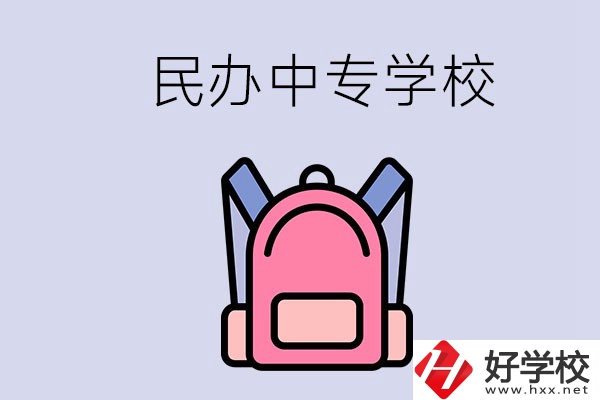 益陽(yáng)的民辦中專學(xué)校有多少所？辦學(xué)怎么樣？