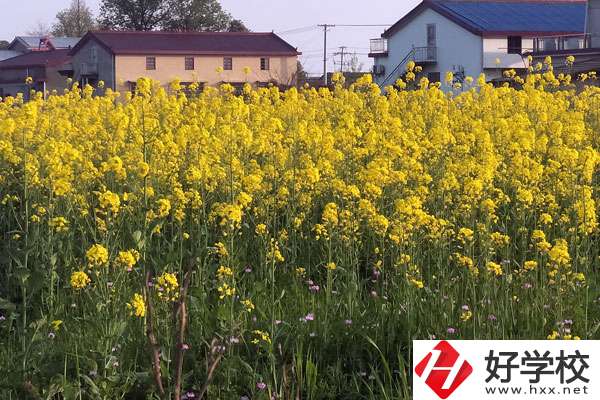 湖南省有哪些比較好的技校？熱門專業(yè)有哪些？