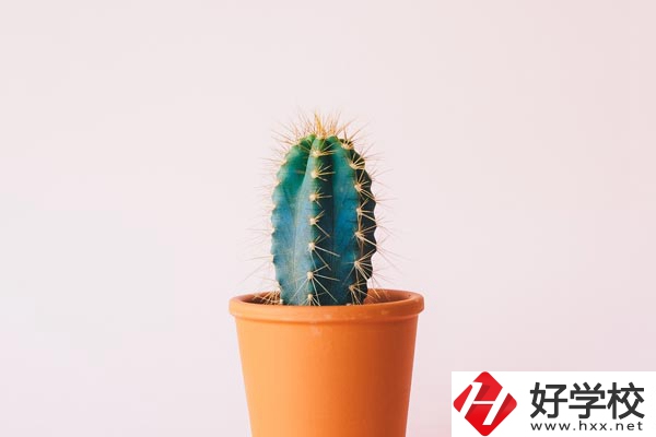 長沙有哪些中職學(xué)?？梢詫W(xué)習(xí)幼師專業(yè)？