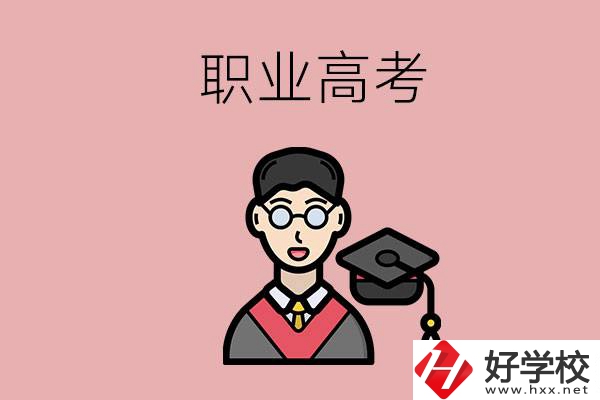 湖南的職業(yè)高考考什么科目？總分是多少？