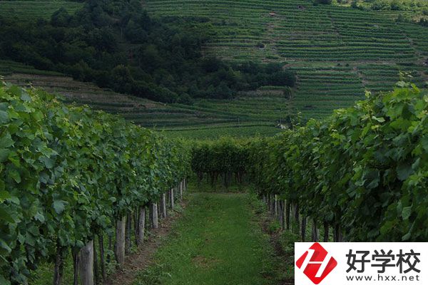 中鋼集團(tuán)衡陽重機(jī)技工學(xué)校好不好？值得讀嗎？