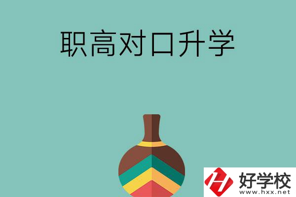 湖南職高對口升學(xué)可以考哪些大專？