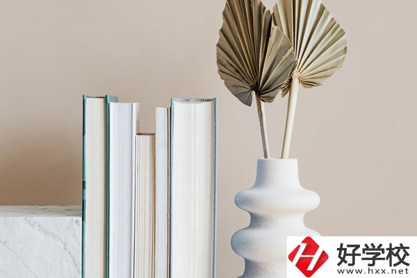 懷化職業(yè)技術(shù)學(xué)院(中職部)好不好，值得選擇嗎？