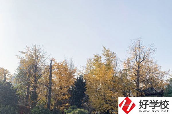 湘潭縣就業(yè)職業(yè)技術學校有哪些專業(yè)？就業(yè)前景怎么樣？