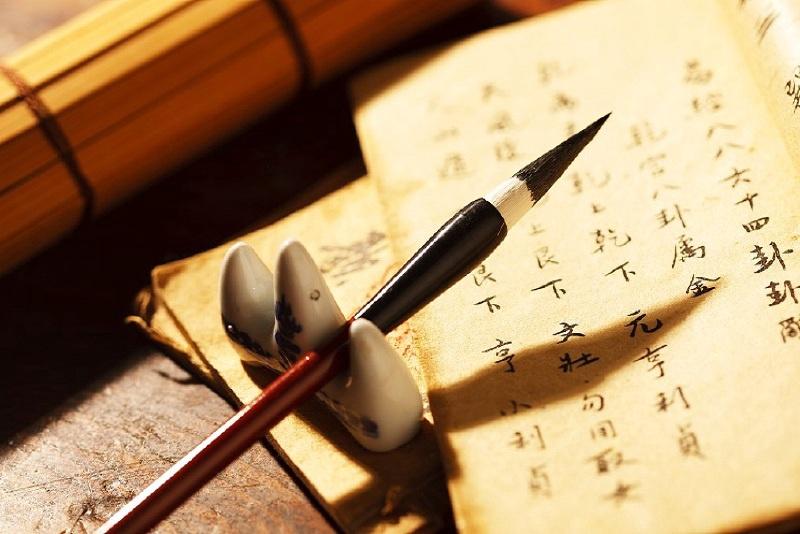 漢語(yǔ)言文學(xué)專業(yè)學(xué)什么？