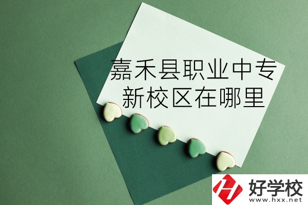 嘉禾縣職業(yè)中專怎么樣？新校區(qū)在哪里？