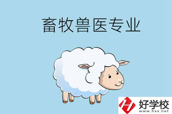 畜牧獸醫(yī)專業(yè)好就業(yè)嗎？湖南哪些技校開設(shè)了該專業(yè)？
