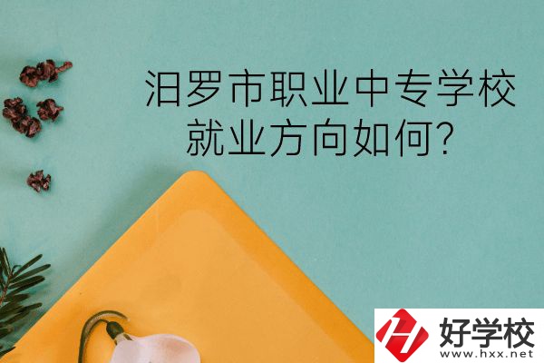 汨羅市職業(yè)中專學校究竟好不好呢？就業(yè)方向如何？