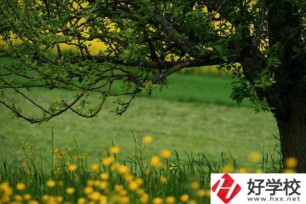 在邵陽讀中職有前途嗎？如何選擇學(xué)校呢？