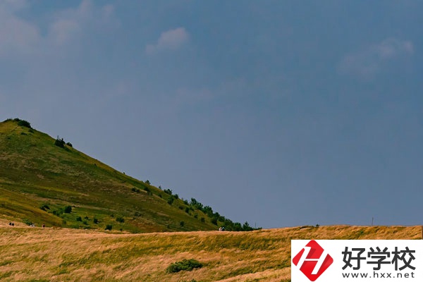 想在常德學(xué)動漫設(shè)計(jì)專業(yè)，有合適的學(xué)校嗎？
