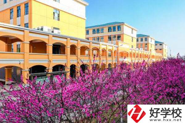 湖南省隆回縣職業(yè)中等專業(yè)學(xué)校有哪些辦學(xué)特色？