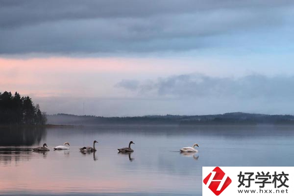 湖南有色金屬中專學校有哪些專業(yè)？就業(yè)方向如何？