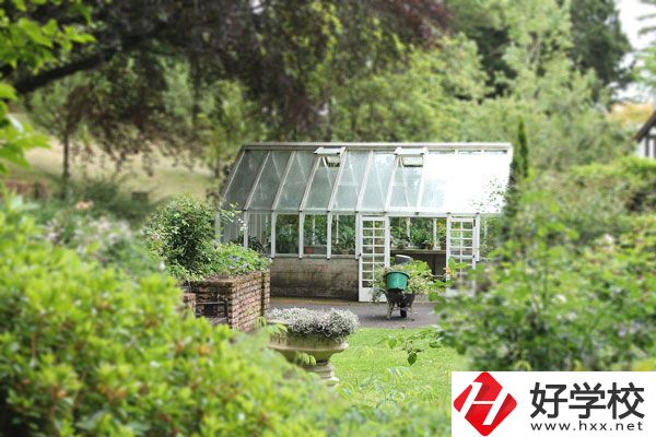 湖南省商業(yè)技師學院開設哪些專業(yè)？就業(yè)情況如何？