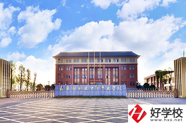 嘉禾縣職業(yè)中等專業(yè)學(xué)校實(shí)力如何？