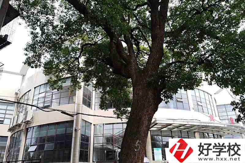 衡陽排名前三的職業(yè)學(xué)校你知道有哪幾所？
