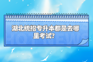 湖北統(tǒng)招專升本都是去哪里考試？