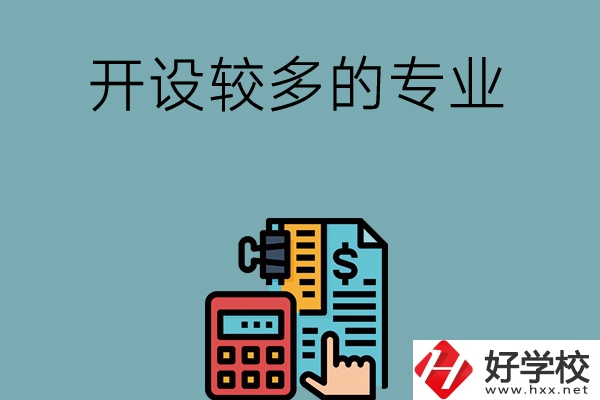 湖南的中職學(xué)校開設(shè)較多的專業(yè)是哪些？