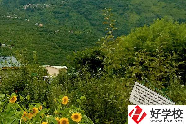 長(zhǎng)沙公辦中職學(xué)校好不好？都有哪些學(xué)校？
