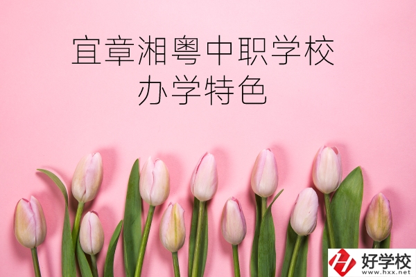 宜章湘粵中職學校在哪？有什么辦學特色？