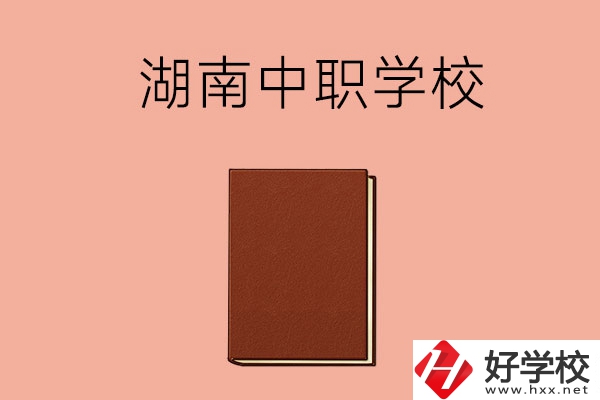 湖南有哪些就業(yè)率比較高的中職學(xué)校？