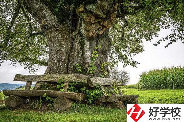 湖南特教中等專業(yè)學校有哪些特色專業(yè)？有資助政策嗎？