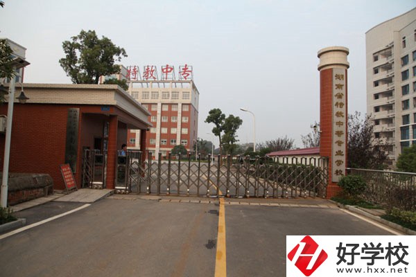 湖南有適合殘疾人就讀的中職嗎？有什么招生要求？