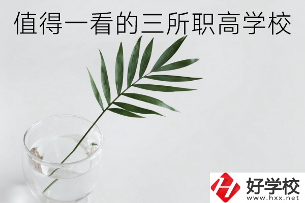 湖南有什么好的職高學(xué)校？這3所學(xué)校值得一看！