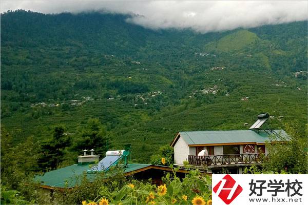 益陽大誠職業(yè)學(xué)校的專業(yè)怎么樣？就業(yè)方向如何？