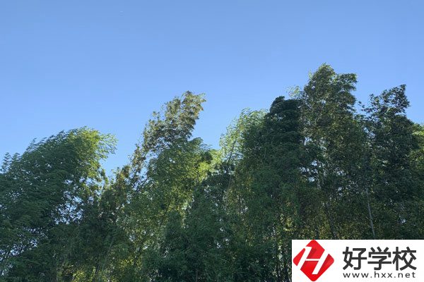 張家界協(xié)力技工學(xué)校好不好？就業(yè)前景怎么樣？