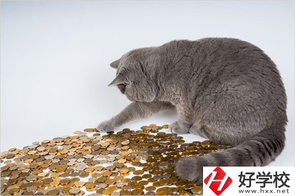 邵陽的職高一年學費是多少？比較便宜的學校有哪些？
