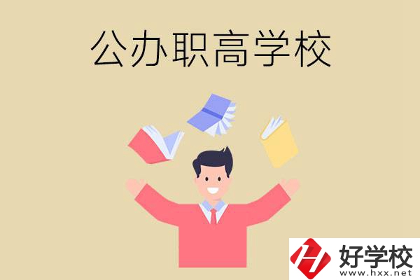 婁底公辦的職高學(xué)校有幾所？