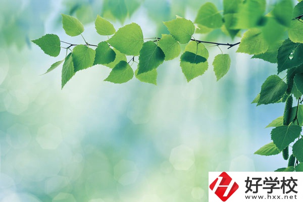 永州工商職業(yè)中等專業(yè)學(xué)校哪些是特色專業(yè)？好就業(yè)嗎？