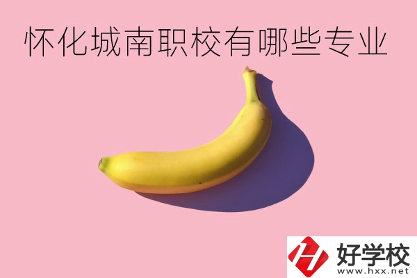 懷化城南職業(yè)學(xué)校有哪些專業(yè)？學(xué)校好不好？