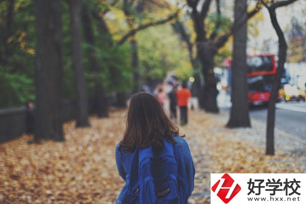 衡陽市職業(yè)中等學(xué)校計算機(jī)應(yīng)用專業(yè)好不好？