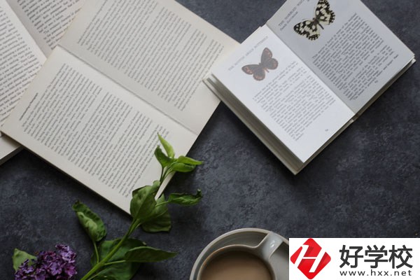 湘南船山技工學(xué)校好不好？環(huán)境怎么樣？