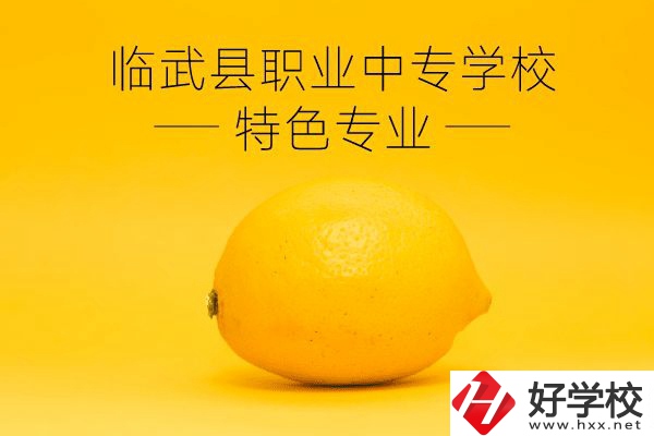 臨武縣職業(yè)中專學(xué)校好嗎？有哪些特色專業(yè)？