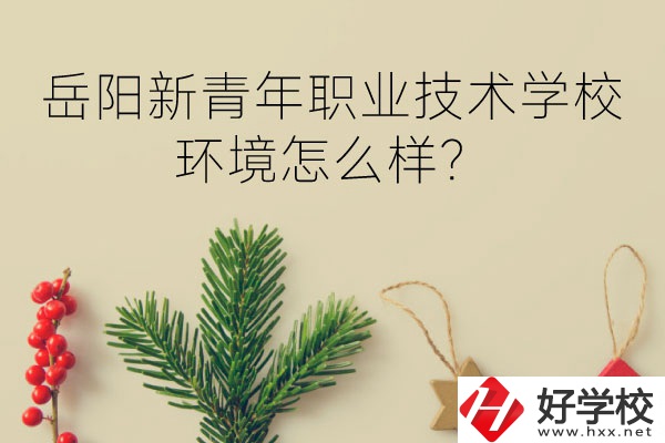 岳陽新青年職業(yè)技術(shù)學(xué)校好不好？環(huán)境怎么樣？