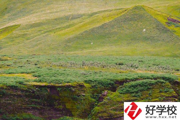 湖南衡南職業(yè)中等專業(yè)學校的優(yōu)勢