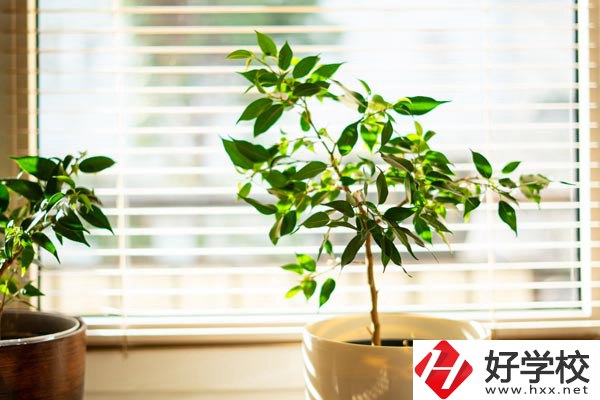 湖南省商業(yè)技師學(xué)院有哪些教學(xué)特色？報(bào)考有何要求？