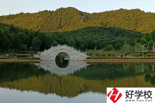 想在新寧縣讀中專學(xué)校？推薦這兩所
