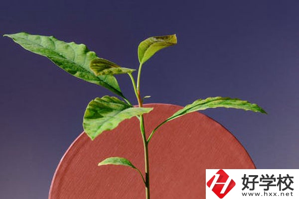 株洲市工業(yè)中等專校怎么樣？好不好？