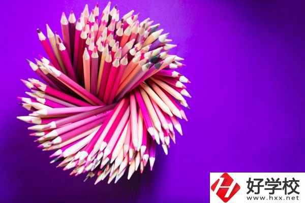 在懷化有什么職?？梢詫W(xué)習(xí)幼師？好不好？