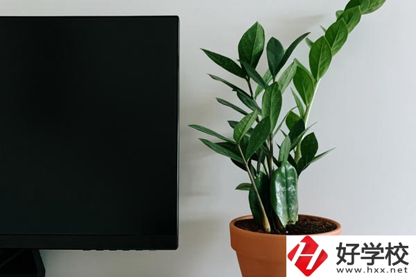 岳陽(yáng)市網(wǎng)絡(luò)工程職業(yè)技術(shù)學(xué)校有哪些熱門專業(yè)？