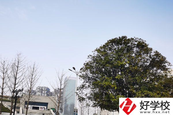 益陽(yáng)科技工程學(xué)校有哪些專業(yè)？就業(yè)如何？