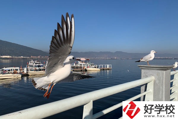 準(zhǔn)備讀中專，衡陽縣職業(yè)中專好不好？
