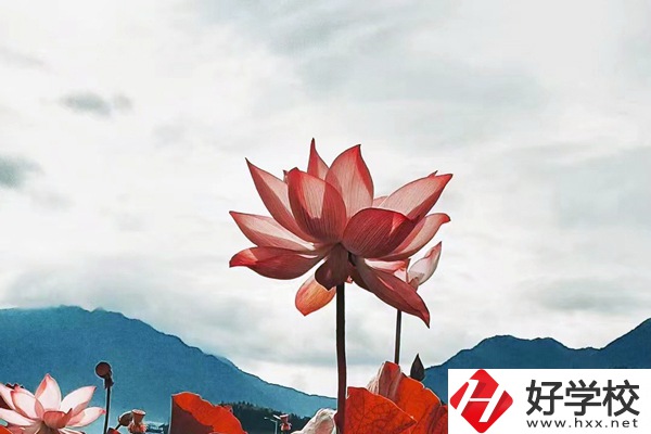 隆回華星職業(yè)技術(shù)學(xué)校有哪些專業(yè)？值得學(xué)生報(bào)考么？