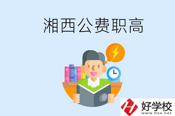 湘西公費(fèi)的職高學(xué)校有幾所？還有其它什么費(fèi)用？