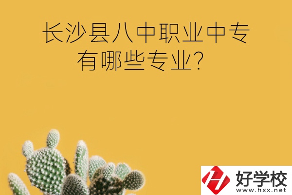 長沙縣八中職業(yè)中專好不好？有哪些專業(yè)？